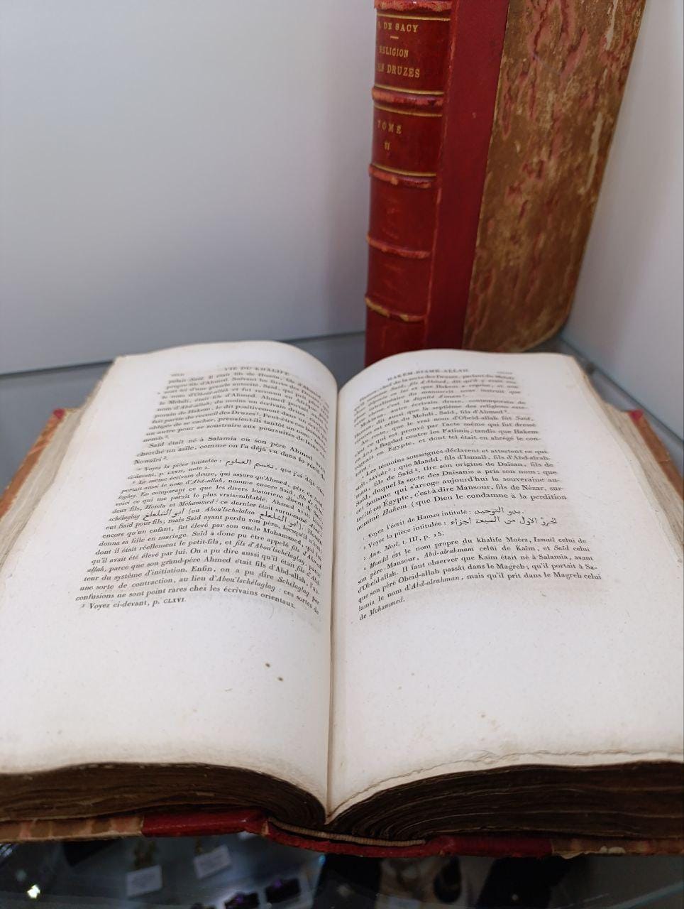 Rare 1838 First Edition of 'Exposé de la Religion des Druzes' by Silvestre de Sacy - 2 Volumes