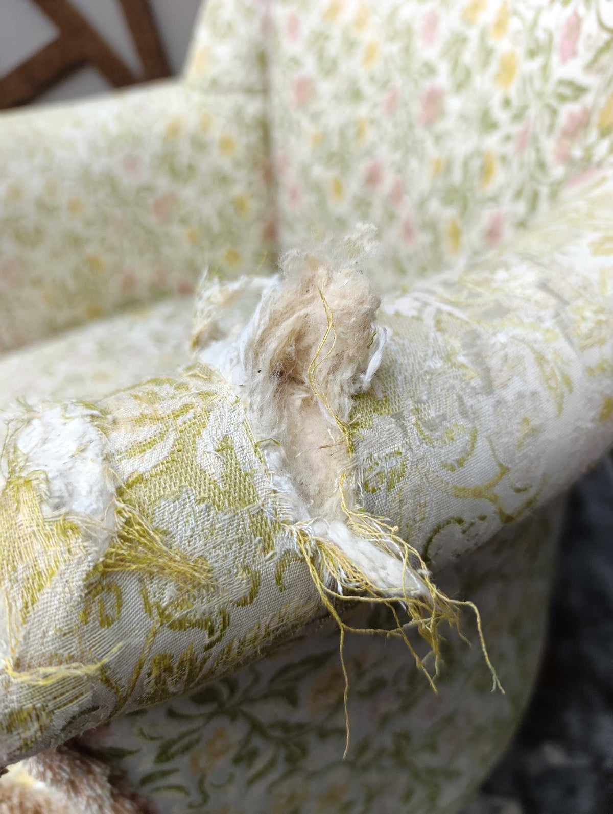 Sprung Tub Armchair for Reupholstery, circa 1950s — photograph 10