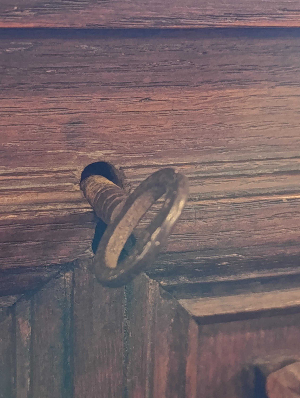 Tudor Revival Oak Coffer with Heraldic Carving — photograph 8