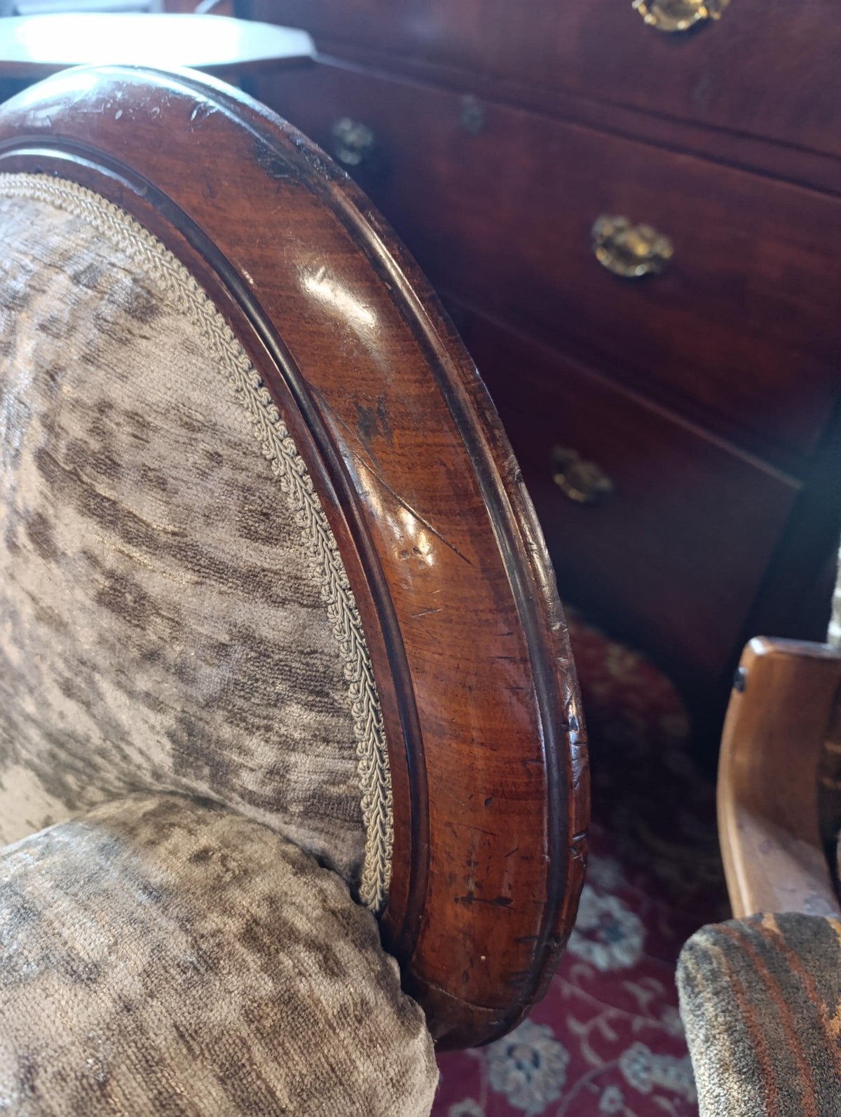 Victorian Walnut Chaise Longue in Neutral Chenille — photograph 8